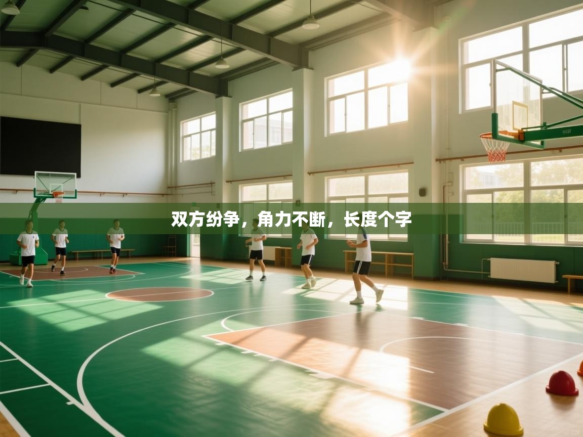 双方纷争，角力不断，长度个字  第2张