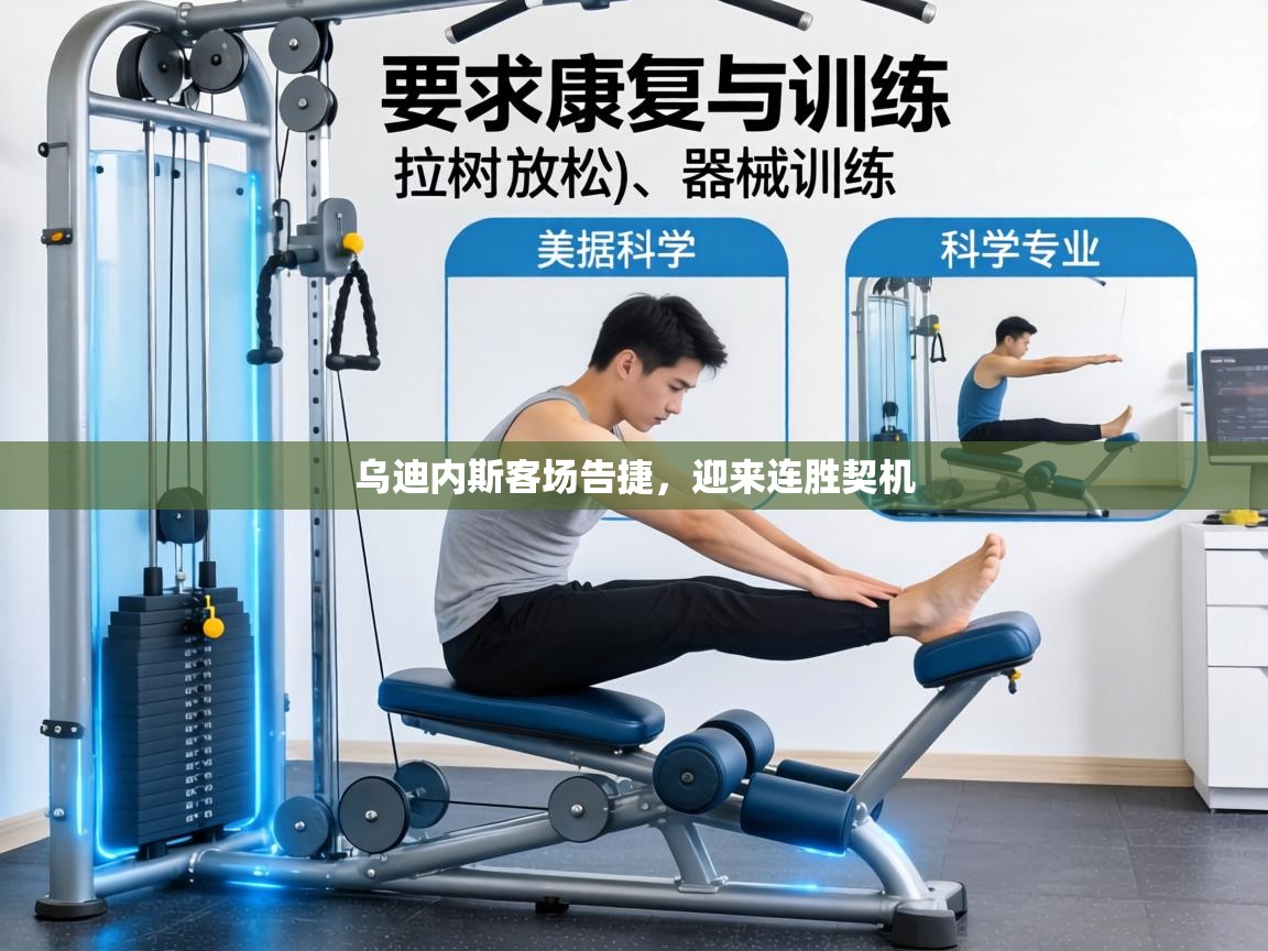 乌迪内斯客场告捷，迎来连胜契机  第1张