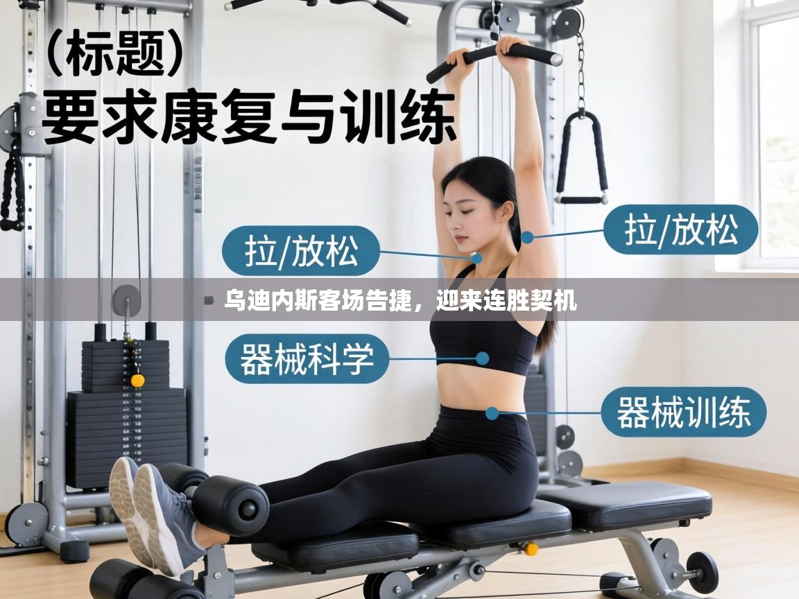 乌迪内斯客场告捷，迎来连胜契机  第2张